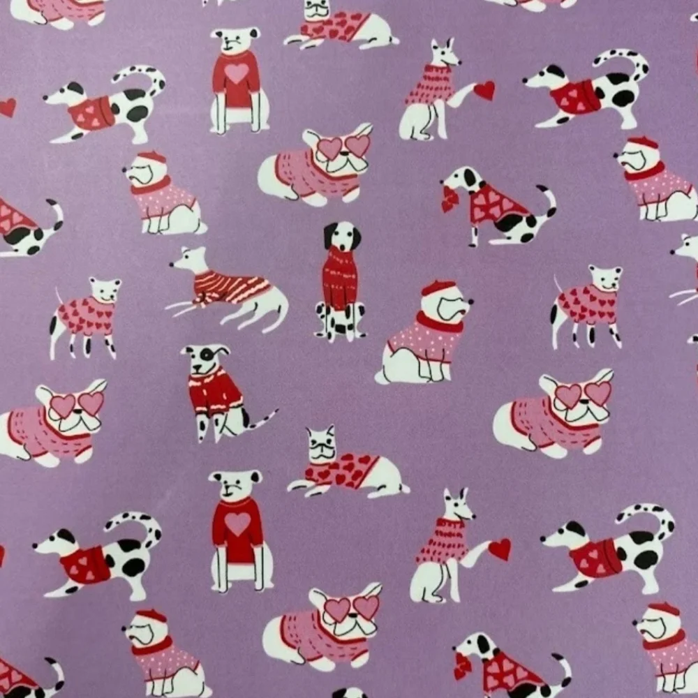 Cozy Valentine Holiday Throw Blanket 50